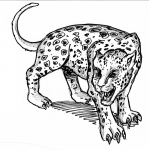 Jaguar_roar
