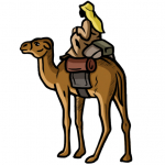 Kamel-Kopie