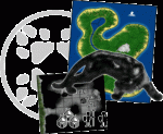 Dungeon-To-Segelhiss