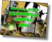 Gammaslayers: Der Kraterbach-Contest